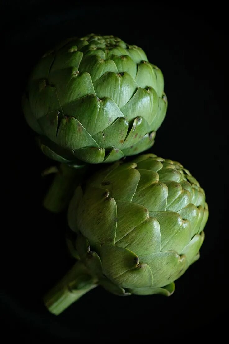 Овощ артишок фото Moody Food Photography with Artichokes