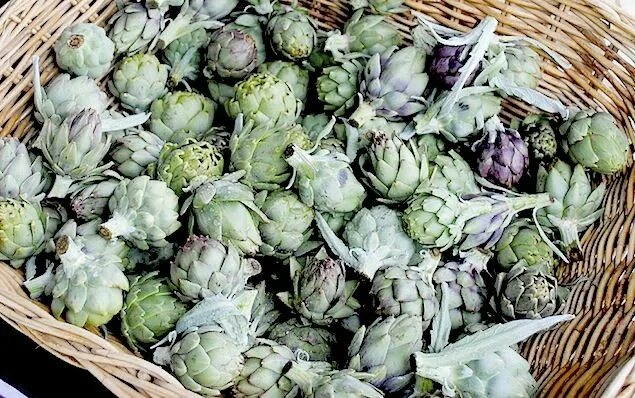 Овощ артишок фото How to Cook Artichokes How to cook artichoke, Artichoke, Biryani