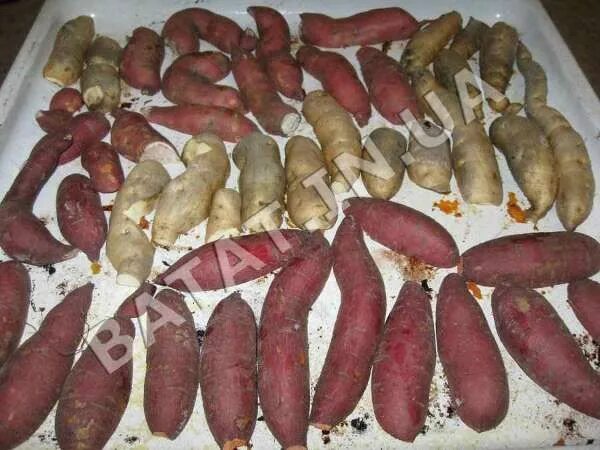 Овощ батат рецепты приготовления с фото Печенный батат в духовке Vegetables, Eggplant, Food