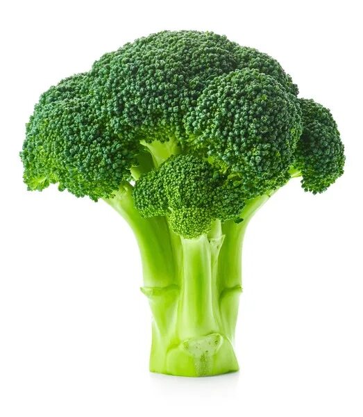 Овощ брокколи фото Broccolies, результатов - 562 154: изображения без лицензионных платежей, стоков