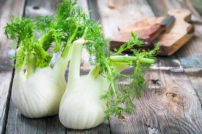 Овощ фенхель фото How to Store and Use Fresh Fennel Foodal Immune boosting foods, Fennel, Vegetabl