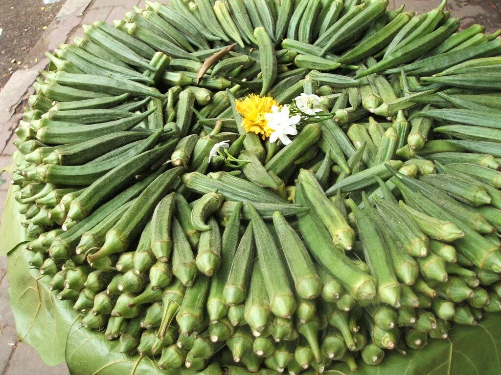 Овощ окра что это такое фото Fresh Okra The shopkeeper was so happy that I was taking p. Flickr