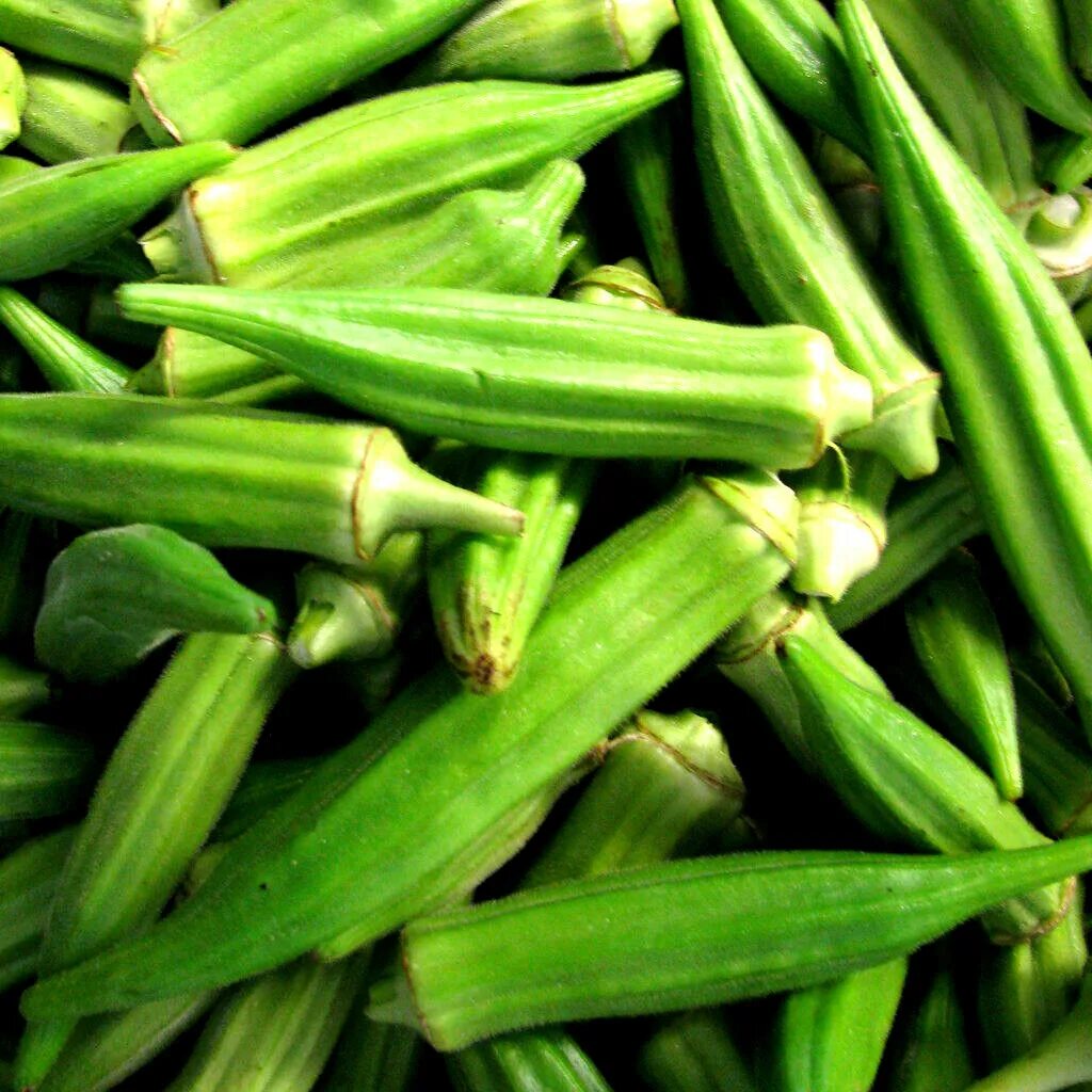 Овощ окра что это такое фото VEGETABLE - OKRA - 200 SEEDS - OKRA CLEMSON SPINELESS eBay
