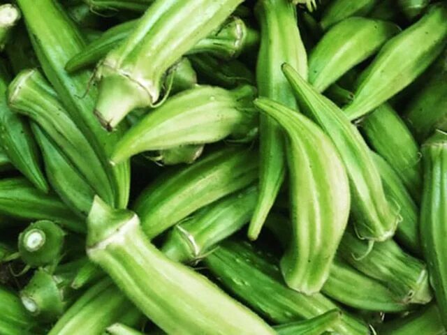 Овощ окра что это такое фото A beginner’s guide to okra production. Knitting pattern