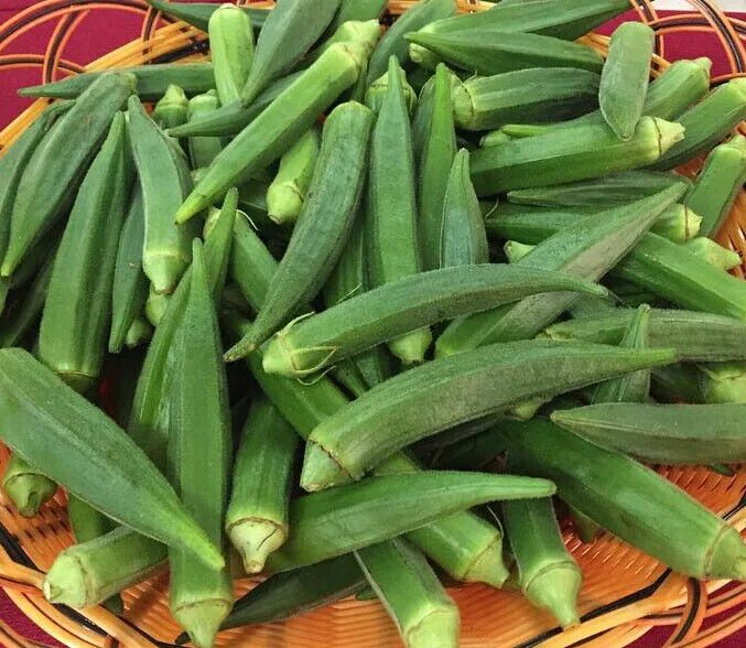 Овощ окра что это такое фото 50+ Okra Seeds Emerald Okra Vegetable Fresh Garden Seeds USA eBay