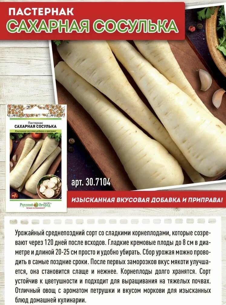 Овощ пастернак фото описание Пастернак Русский огород 777101 - купить по выгодным ценам в интернет-магазине O