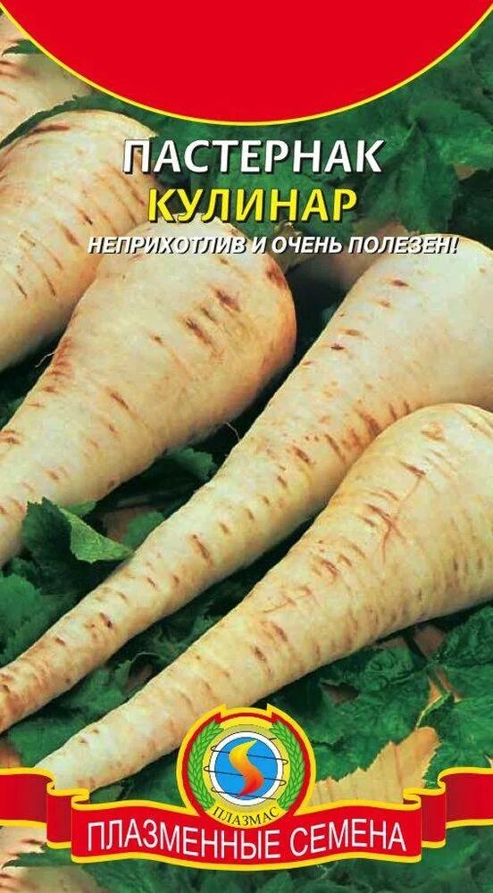 Овощ пастернак фото описание Пастернак Кулинар ПЛ купить по цене от 15 руб в Орле