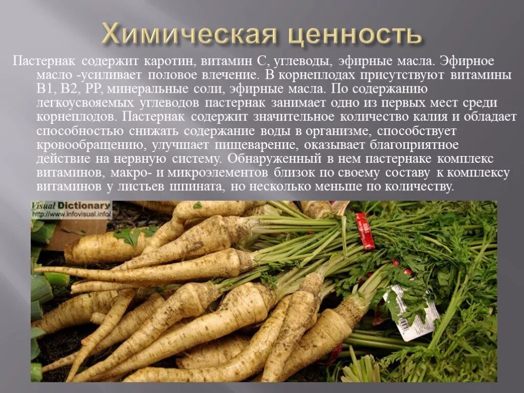 Овощ пастернак фото описание Пастернак свойство для мужчин: найдено 87 изображений