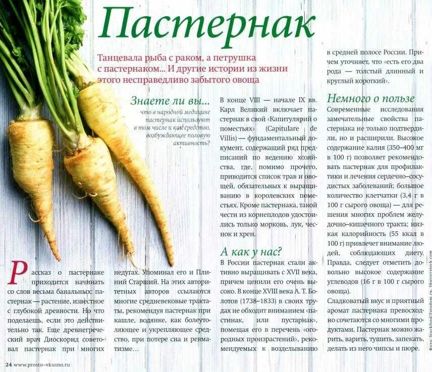Овощ пастернак фото описание Пастернак еда eCookie.ru
