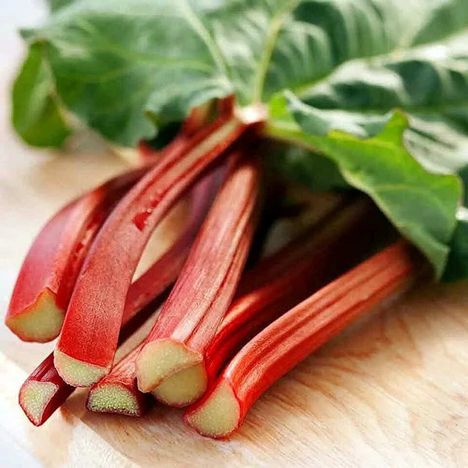 Овощ ревень фото Amazon.com: Red Rhubarb Plants