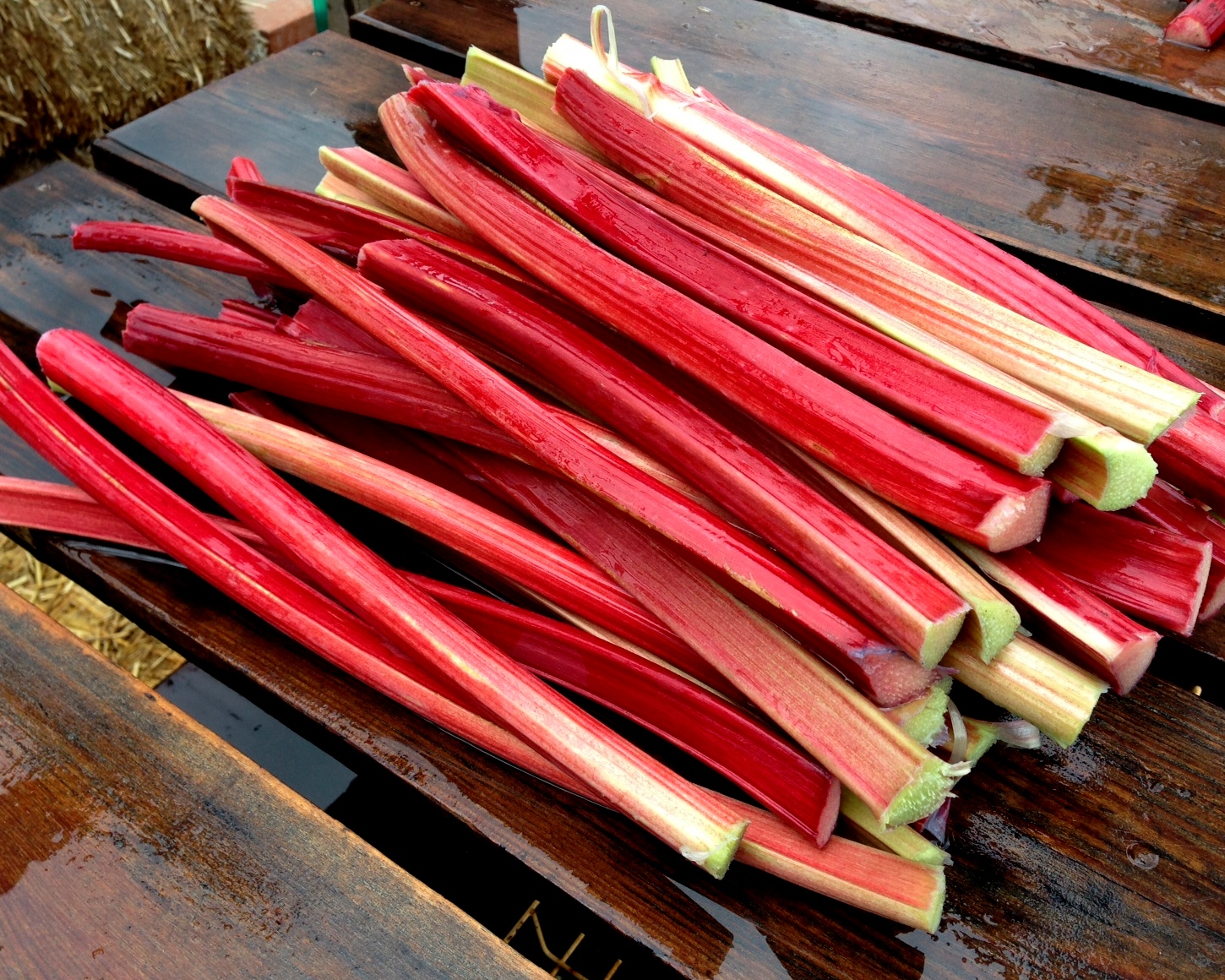 Овощ ревень фото rhubarb crisp Dirt & Veggies