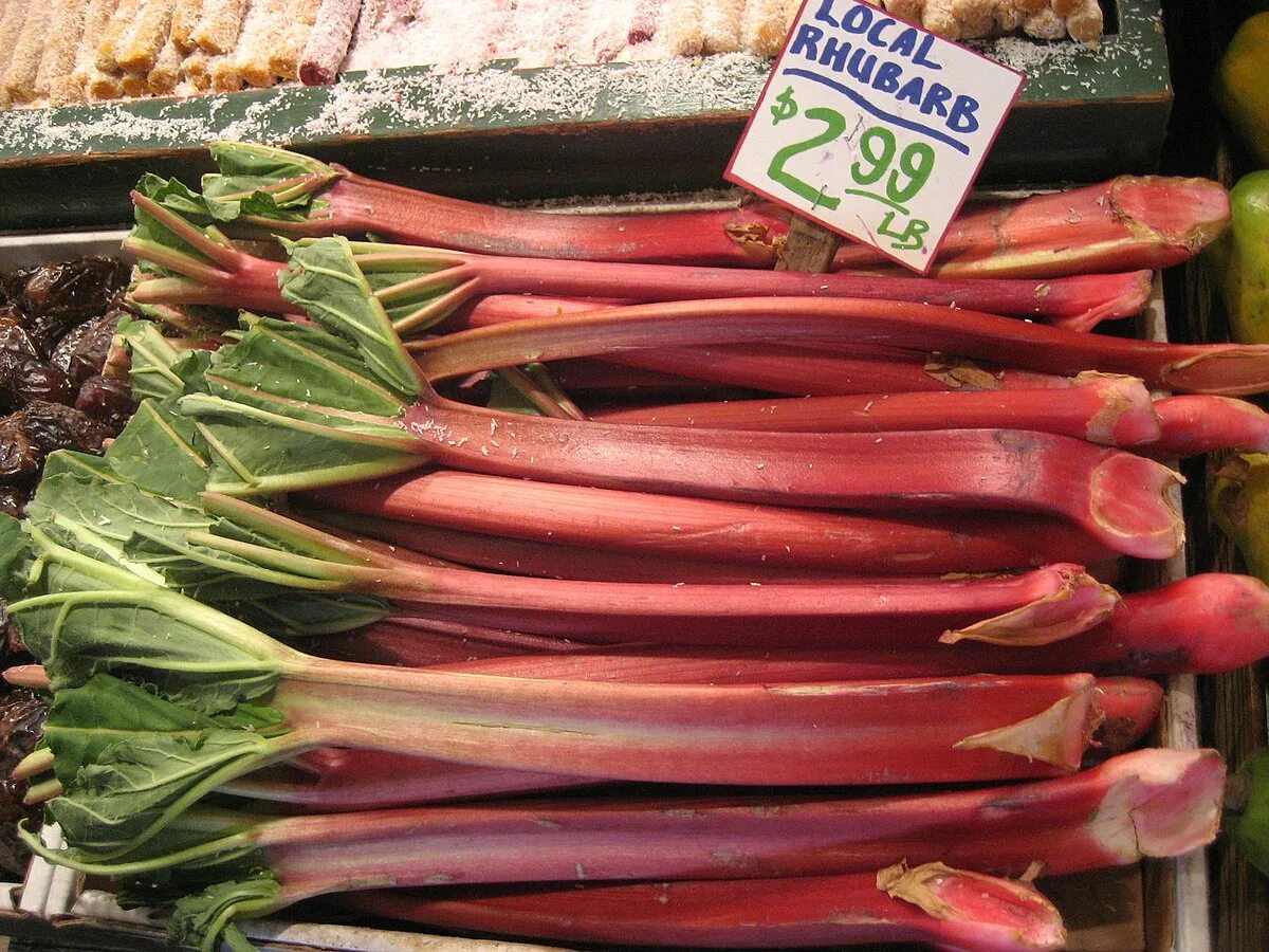 Овощ ревень фото Файл:Rhubarb for sale in Seattle.jpg - Вікіпедыя