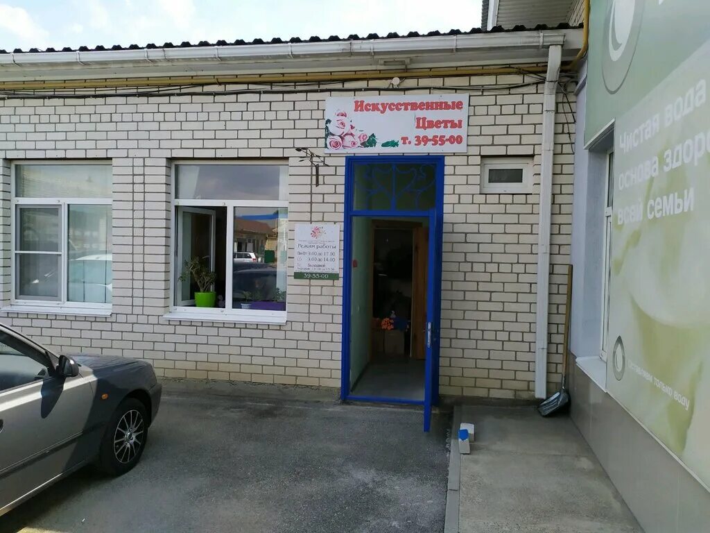 Овощебаза диана пер буйнакского 41 ставрополь фото Цветы Юга России, искусственные растения и цветы, пер. Буйнакского, 2А, Ставропо