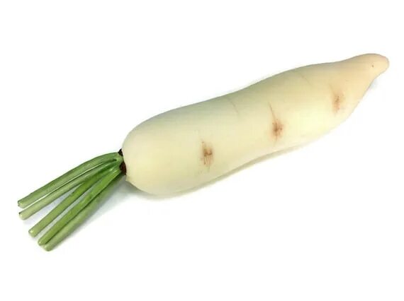 Овощи белого цвета названия и фото Daikon Root Vegetable White Fake Food Fruit Artificial Etsy
