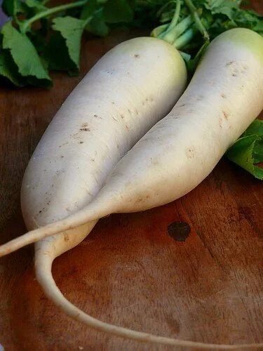 Овощи белого цвета названия и фото Pin su Food Fall & Winter