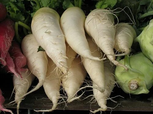 Овощи белого цвета названия и фото All the Radishes in the World, From Tiny to Giant Radish, Radishes, Organic vege