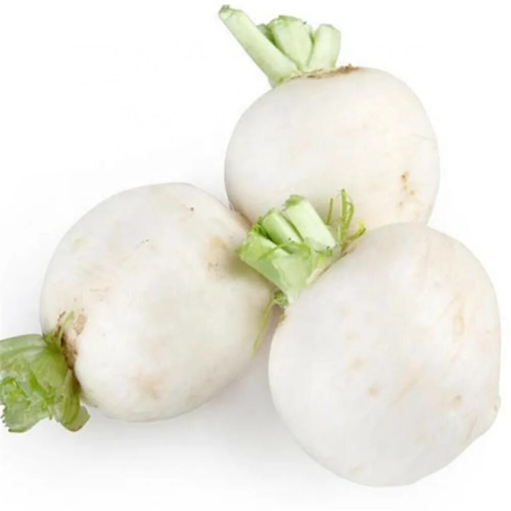 Овощи белого цвета названия и фото Korean Radish C35