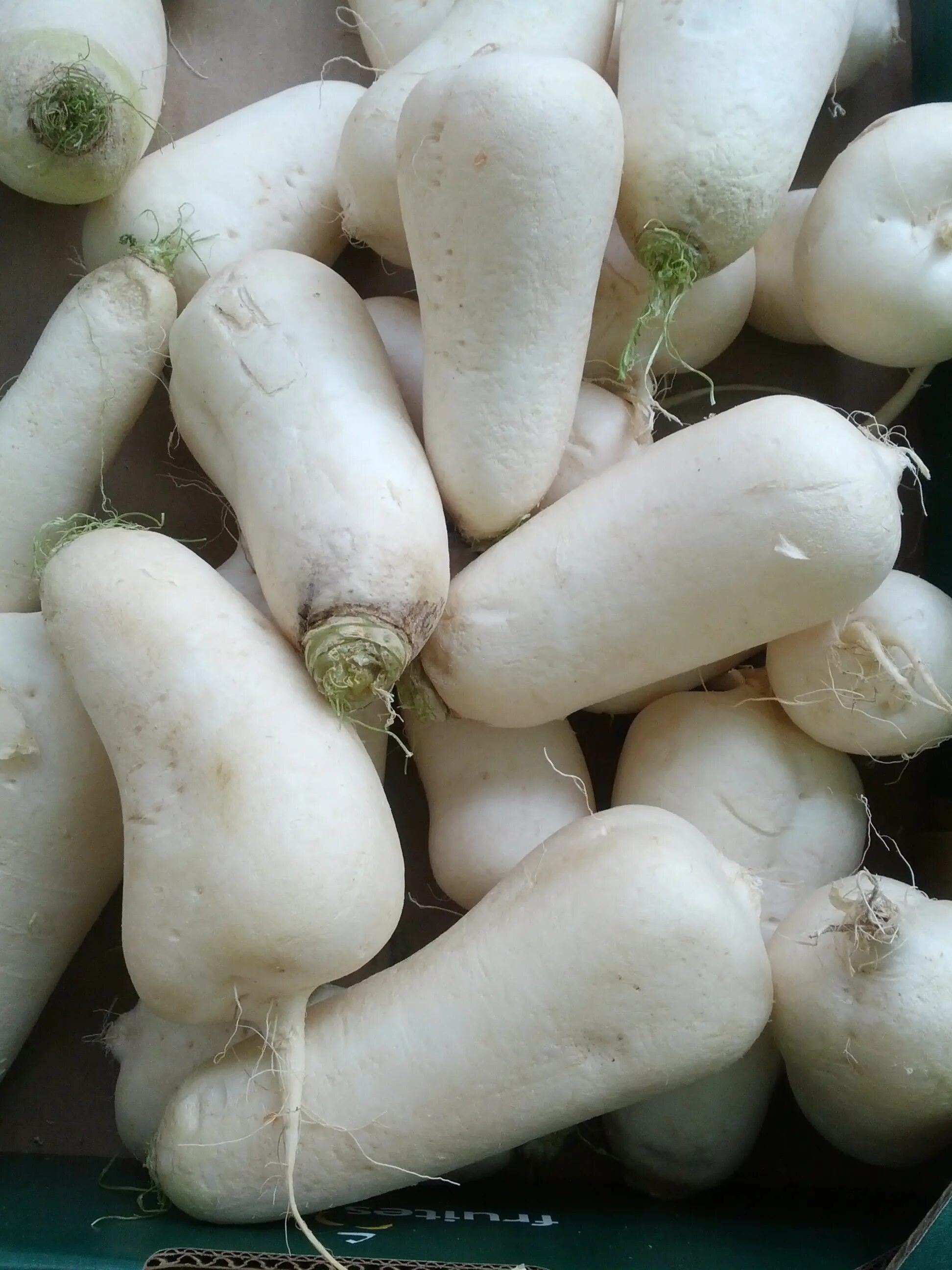 Овощи белого цвета названия и фото Beautiful delicious White Turnip vegetables free image download