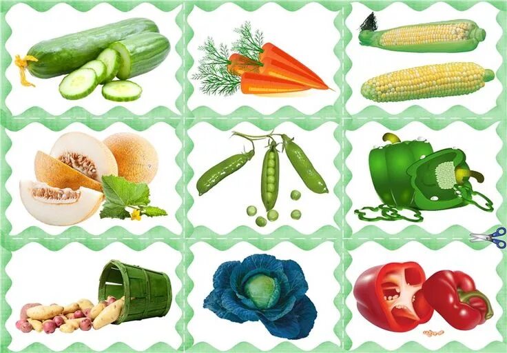 Овощи для оформления детского сада Discover the Beauty of Garden Fresh Vegetables