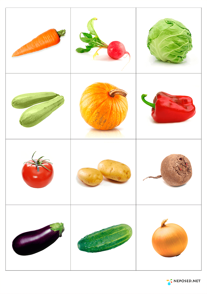 Овощи для оформления детского сада Alimentação saudável educação infantil, Vegetal, Atividades alimentação saudavel