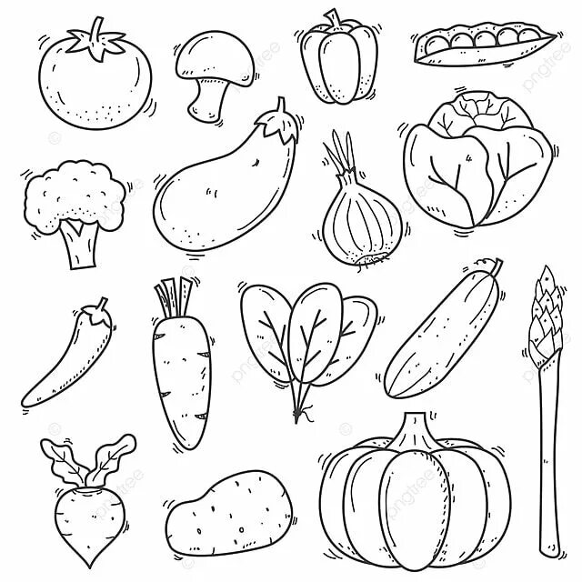 Овощи фото раскраска Set Of Vegetables Doodle Vector Illustration In Sketch Hand Drawn Style Such, Do