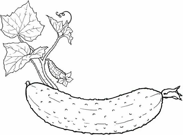 Овощи фото раскраска Fruit Of The Spirit Coloring Page Fruit Coloring Pages Printable Groenten, Fruit