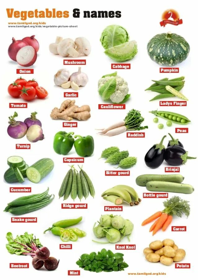 Овощи фото с названиями Vegetables and names Vegetable pictures, Name of vegetables, List of vegetables