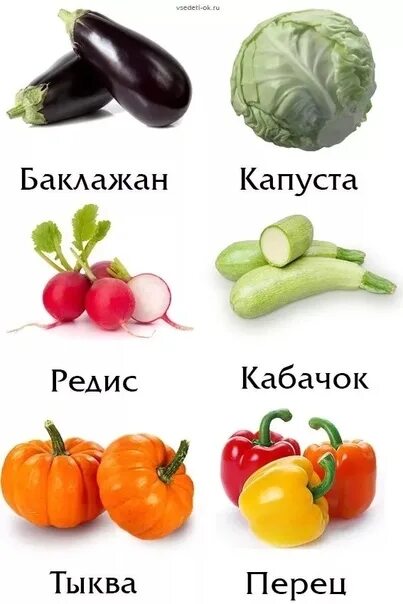 Овощи фото с названиями для детей DEMONSTRATION MATERIAL 2023 Я ВОСПИТАТЕЛЬ ДОУ VK