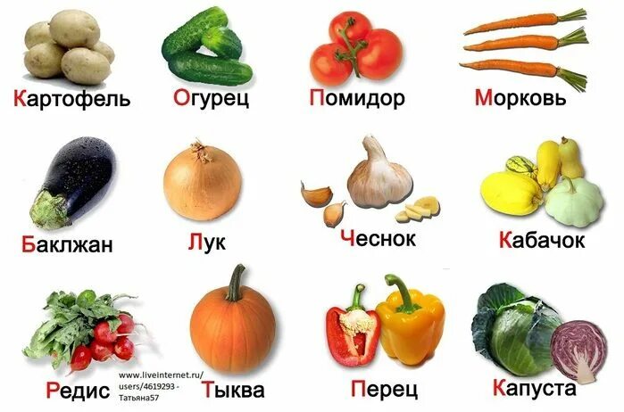 Овощи фото с названиями для детей Российский Сервис Онлайн-Дневников Овощи, Для детей, Овощи для детей