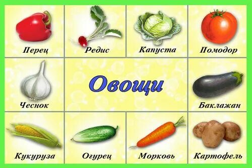Овощи фото с названиями для детей Обучающие и развивающие карточки для детей: Найди ошибку - 17 Мая 2012 - Коты и 