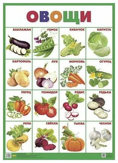 Овощи фото с названиями для детей Плакат(Литур) Овощи (550*770) - купить в интернет-магазине по низкой цене на Янд