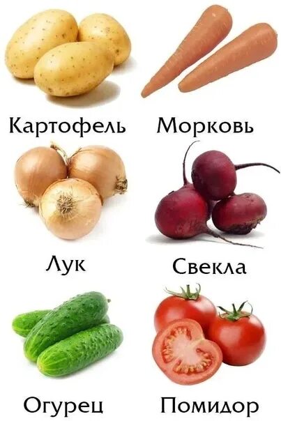 Овощи фото с названиями для детей DEMONSTRATION MATERIAL 2023 Я ВОСПИТАТЕЛЬ ДОУ VK