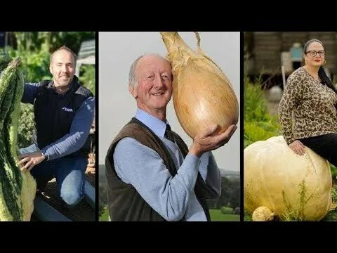 Овощи гиганты фото Biggest Fruits and Vegetables ever recorded - YouTube