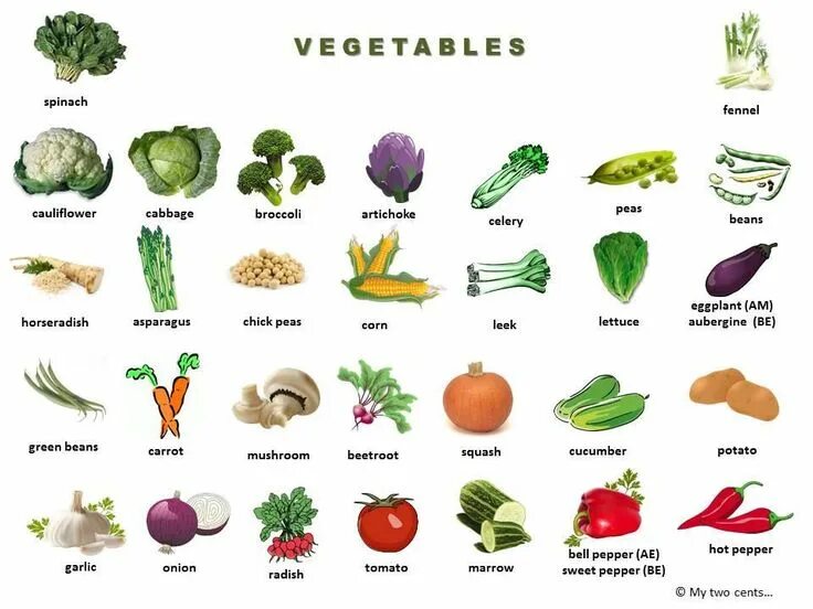 Овощи какие бывают список с фото Pin on Vegetable, Fruit & Herb Garden
