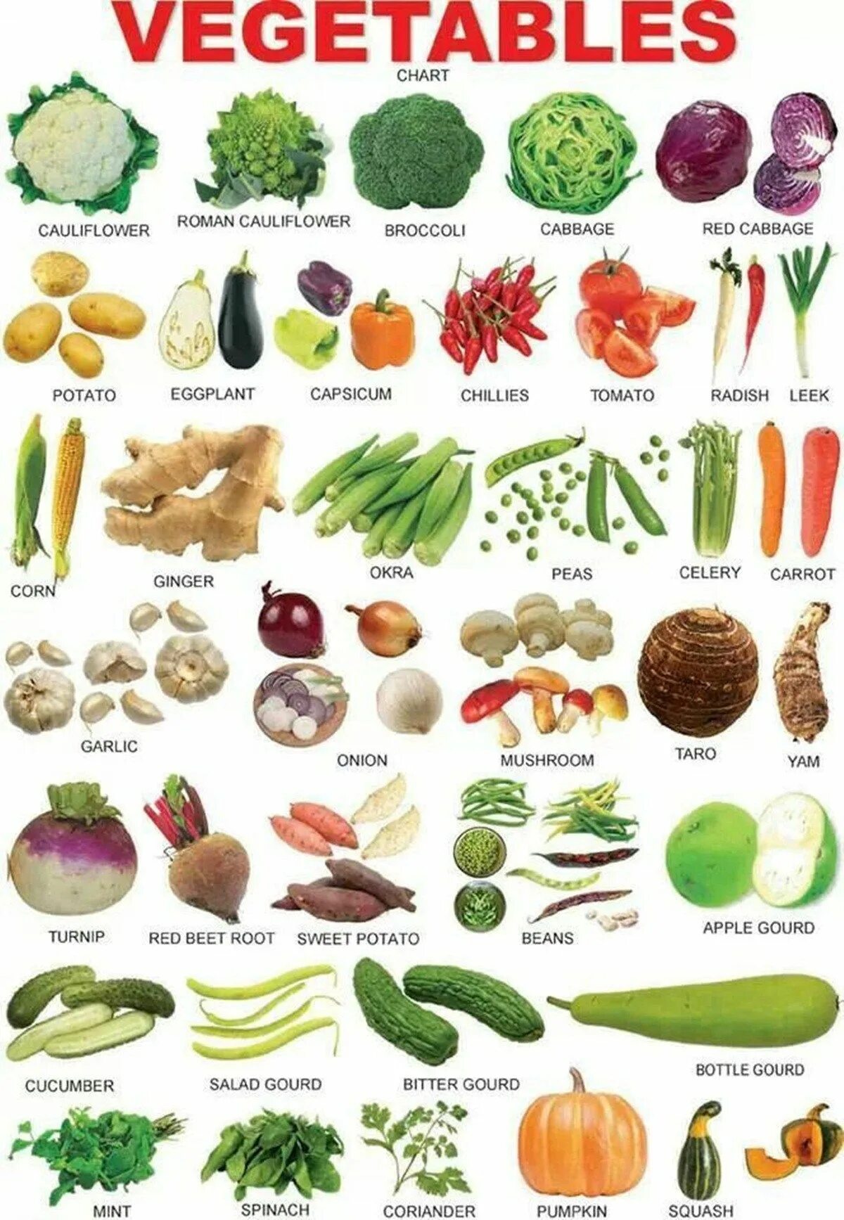 Овощи какие бывают список с фото Types of Food: List of Food & Drinks in English Vegetable chart, Healthy recipes