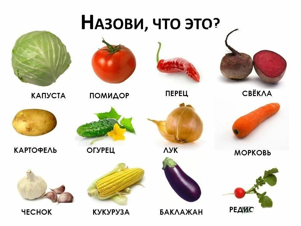 Овощи какие бывают список с фото Овощи и фрукты для детей - CoffeePapa.ru