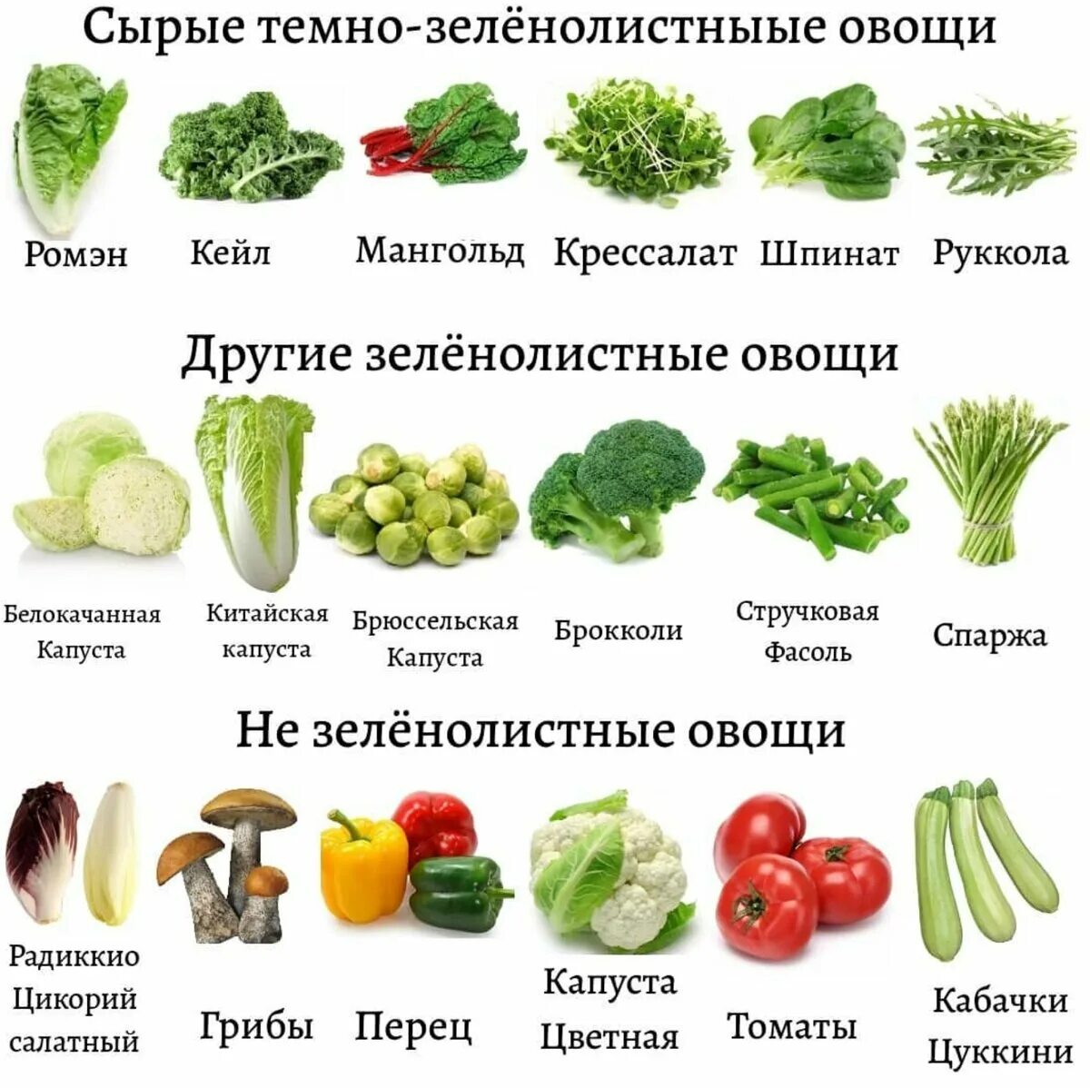 Овощи какие бывают список с фото ПОДБОРКА САМЫХ ПОЛЕЗНЫХ ОВОЩЕЙ. LCHF. SECRET Дзен