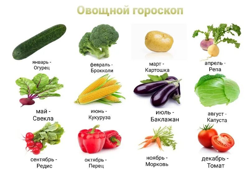 Овощи какие бывают список с фото "Весь мир огород, а ты в нем редиска, если не веришь в наш гороскоп." - Изуки Шу