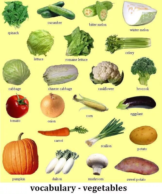 Овощи какие бывают список с фото FOOD AND COOKING Spanish food vocabulary, Vegetable pictures, Different fruits a
