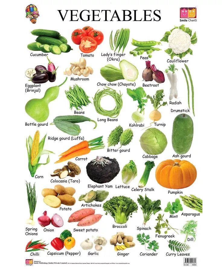 Овощи какие бывают список с фото Vegetable pictures, Vegetable chart, List of vegetables