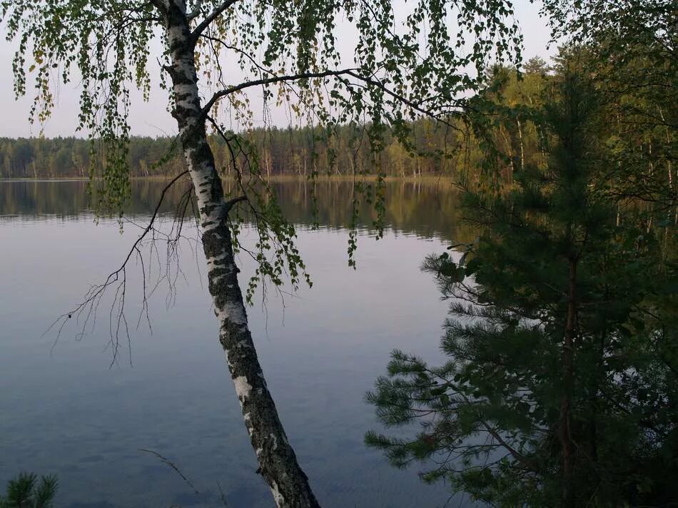 Озеро чуркан марий эл фото Команда Кочующие. Шесть озер или путешествие в Лето