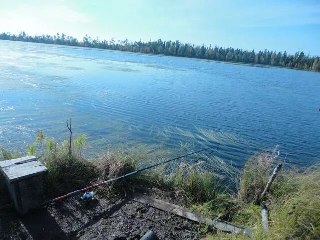 Озеро эмтор нижневартовск фото Озеро Кыртып-Эмтор