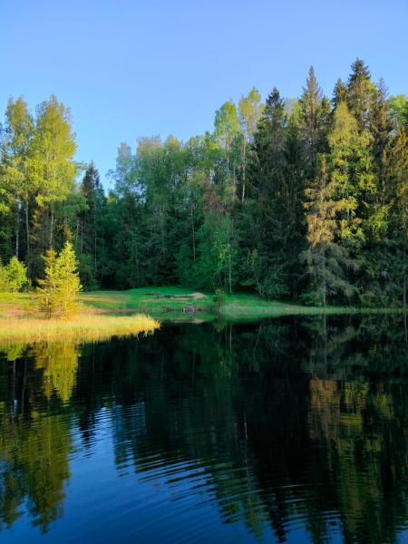 Озеро глухое фото Озеро Глухое