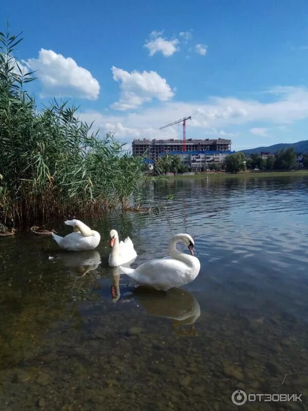 Озеро горячий ключ краснодарский край фото Отзыв о Лебединое озеро (Россия, Горячий Ключ) Есть место для купания, в летнюю 