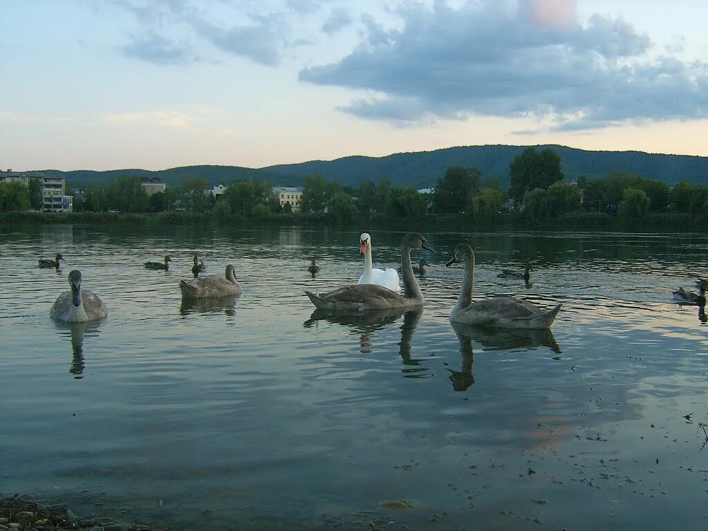 Озеро горячий ключ краснодарский край фото Фото Krasnodar Krai, Russia в городе Горячий Ключ
