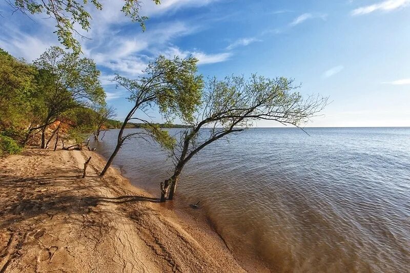 Озеро ханка приморский край фото Путешествия. Озеро Ханка: Море птичьих перьев - СУПЕРПОХОД