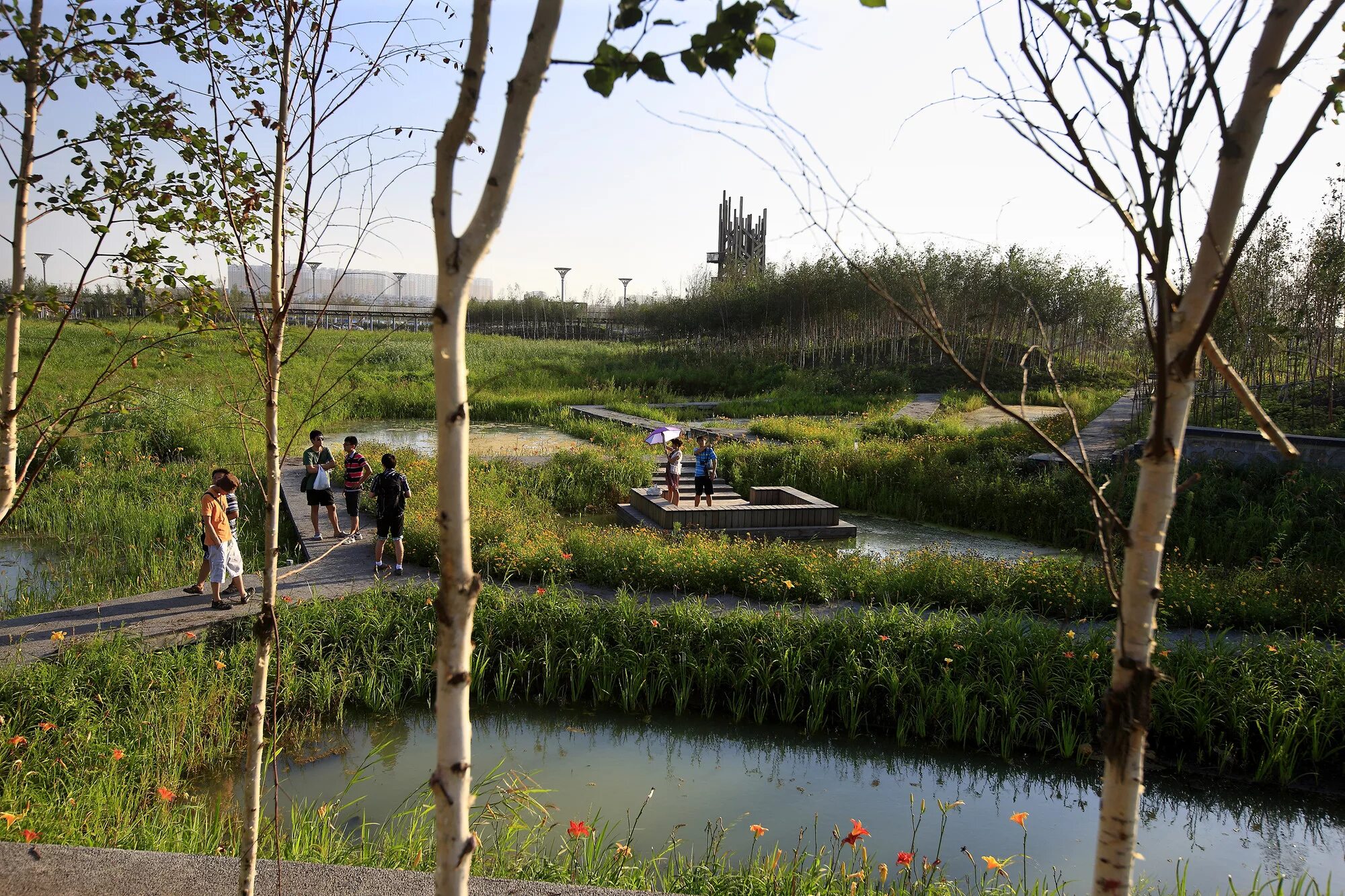 Озеро хаоян в китае фото Gallery of Qunli Stormwater Wetland Park / Turenscape - 10