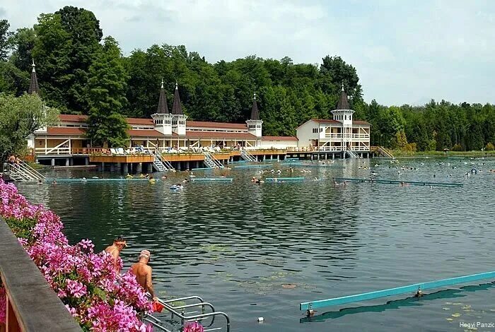 Озеро хевиз фото Hegyi Panzió, hotel, Hungary, Hévíz, Dózsa György u. 18 - Yandex Maps