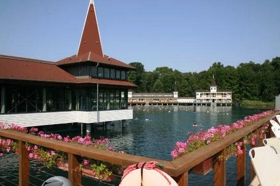Озеро хевиз фото озеро Хевиз - Picture of SPA HEVIZ, Heviz - Tripadvisor