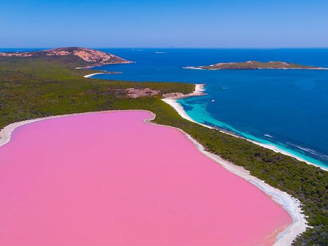 Озеро хиллер австралия фото Η ροζ λίμνη Hillier, Αυστραλία Lake hillier, Pink lake, Lake
